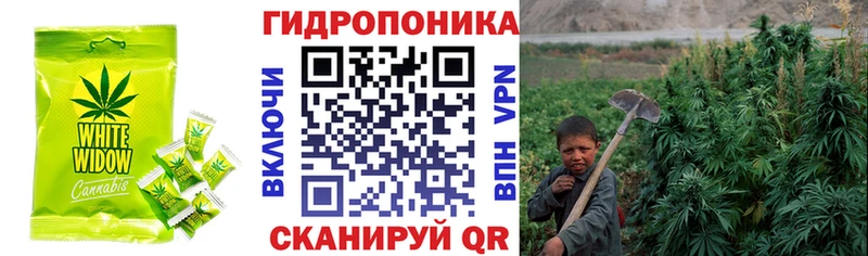 KRAKEN как зайти Артёмовский Canna-Cookies конопля