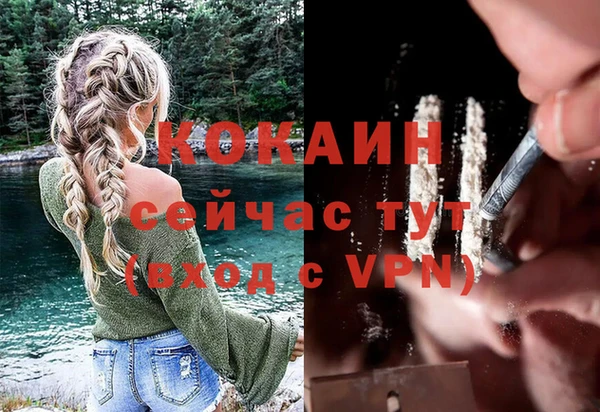 винт Алексин