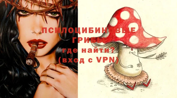 ешки Алзамай