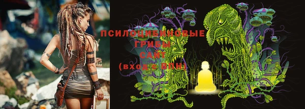 ешки Алзамай