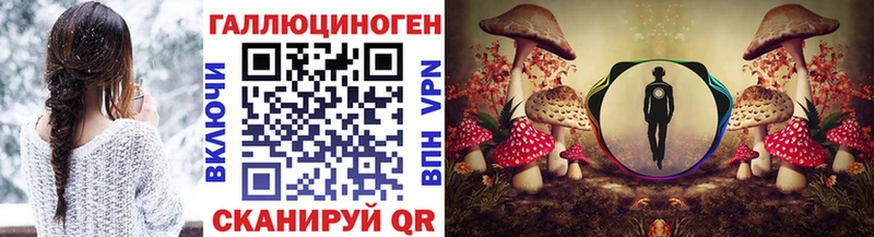 Галлюциногенные грибы Psilocybine cubensis  блэк спрут зеркало  Артёмовский 